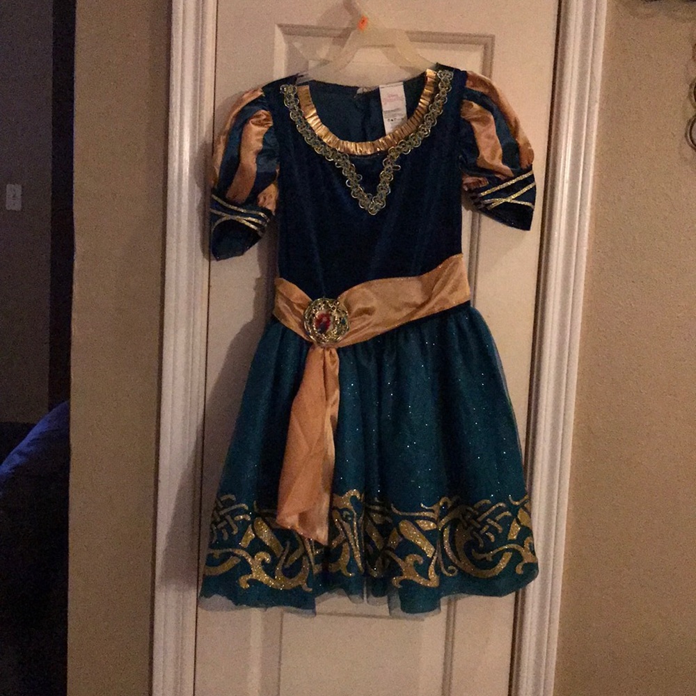 Disney Merida dress